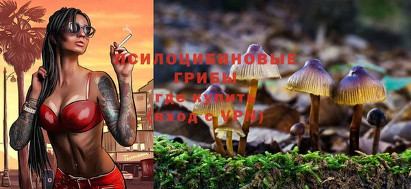 дурь Абаза