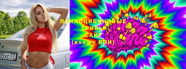 мяу мяу мука Абдулино